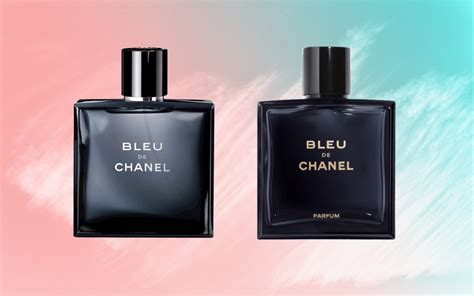 chanel edt vs edp|chanel jersey edt vs edp.